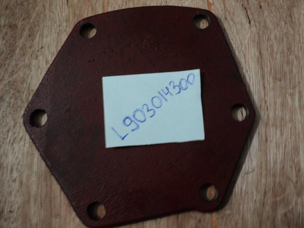 L903014300