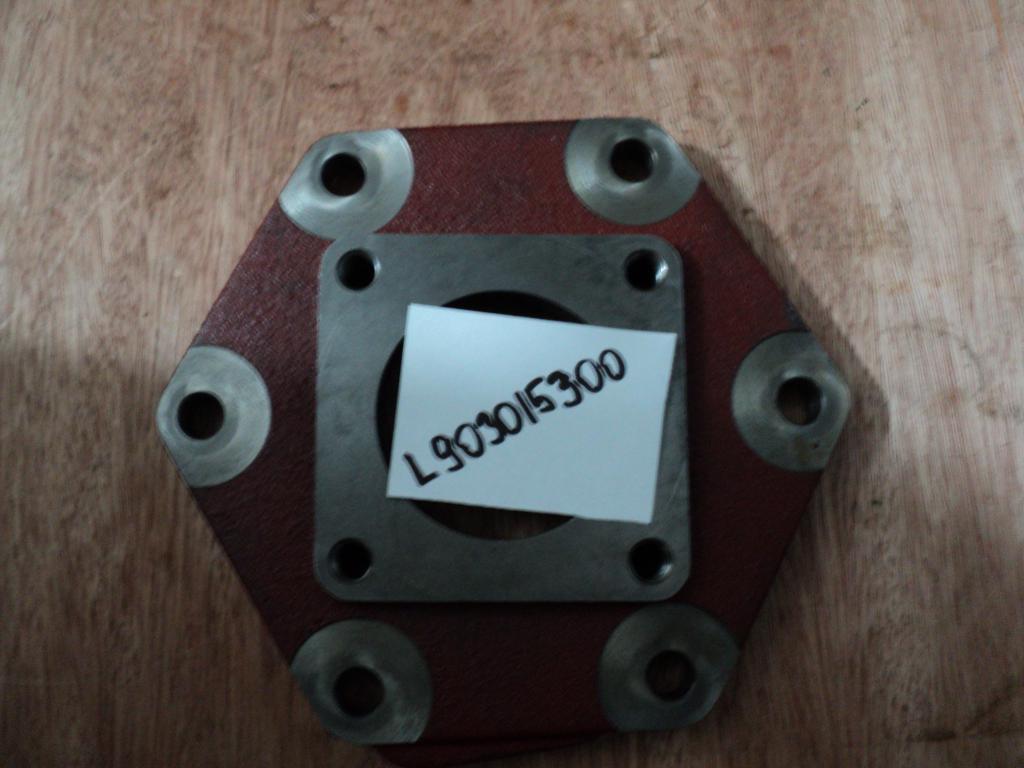 L903015300