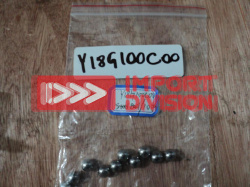Y18G100C00 Шарик 10 Y18G100C00 ZHUCHI 3533900001
