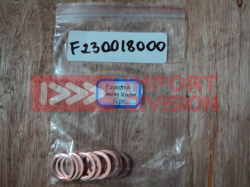 F230018000 Уплотнение 1600 ZHUCHI