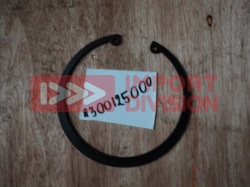 Q300125000 Кольцо стопорное Q300125000 ZHUCHI