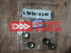 L903020300 Кольцо L903020300 ZHUCHI