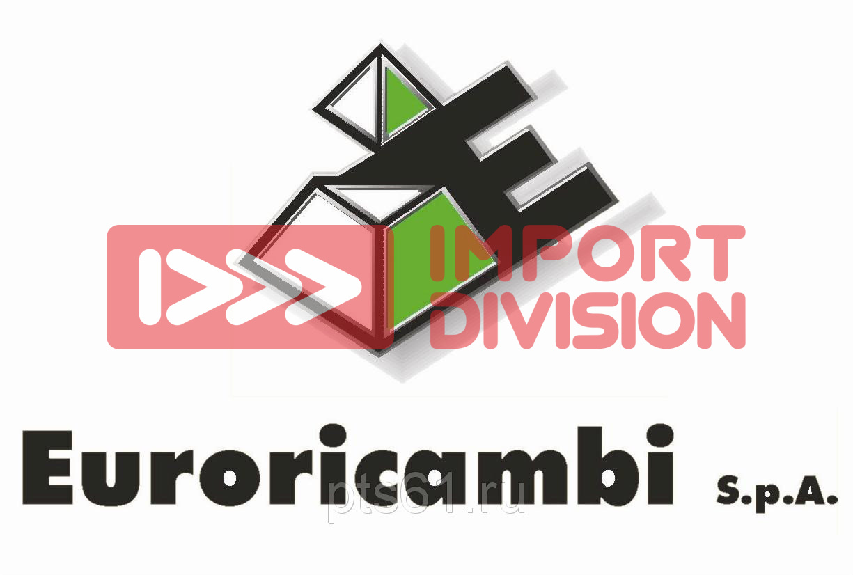 1315298002 Комплект сальников Euroricambi 95534146